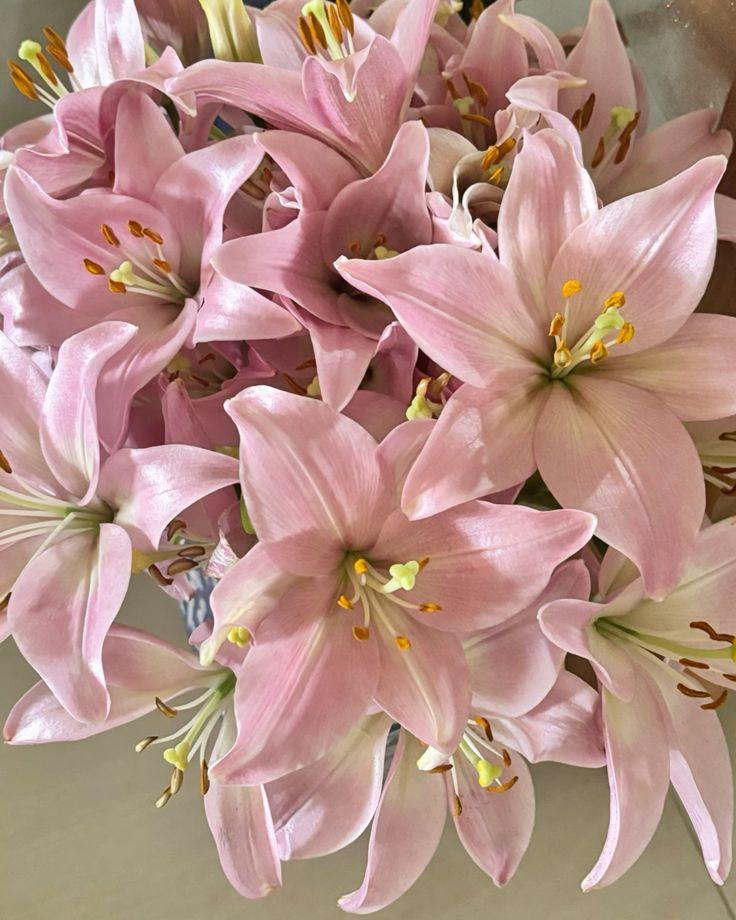 Secret Eden Treasured Petal Collection